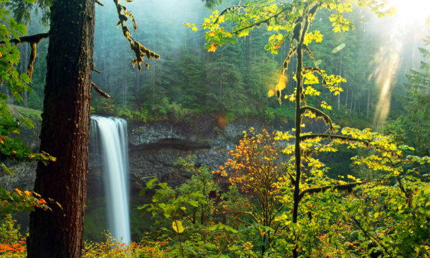 5 Top Tips for Successful Summer Marketing