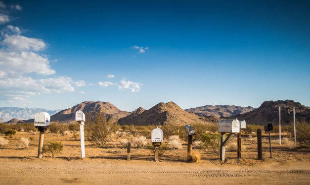 How Recipients Behave With Your Printed Direct Mail