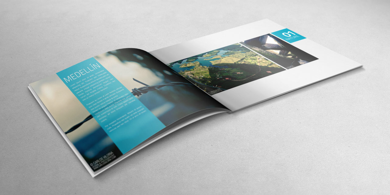 Top Tips For Designing A Great Printed Brochure For Your Business!
