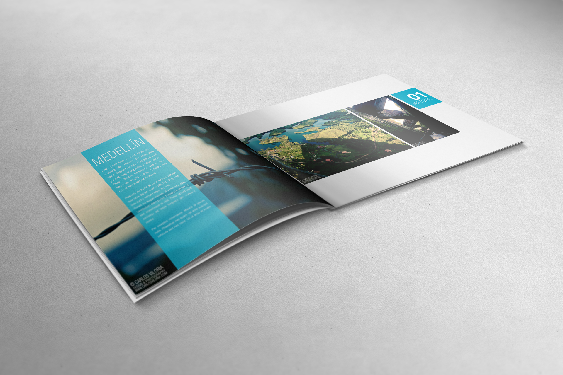 Top Tips For Designing A Great Printed Brochure For Your Business ...