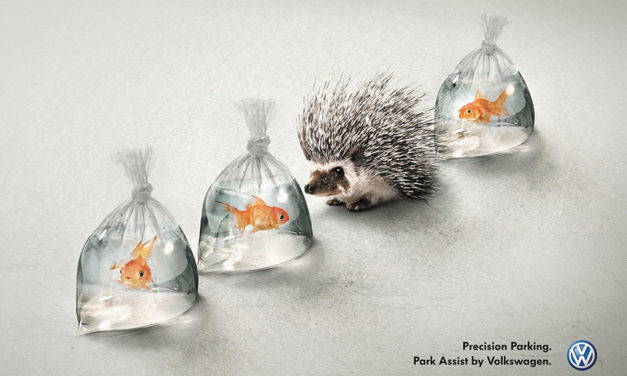 How Print Marketing Can Boost Your Business