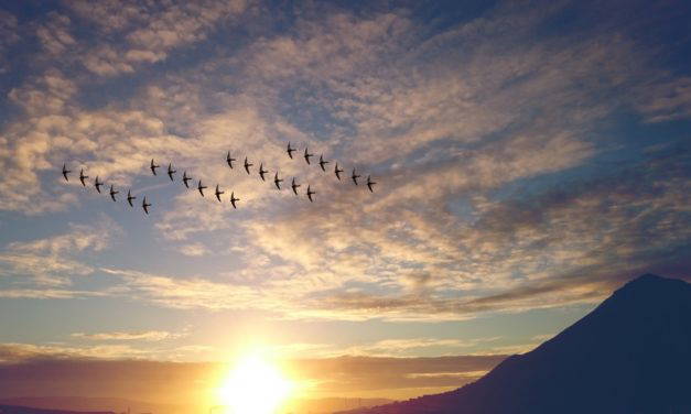 5 Reasons Flyers Should Be Part Of Your Marketing Strategy