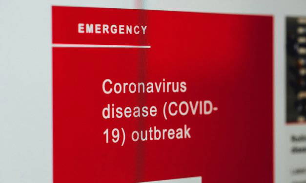 Top print marketing choices to help your business recover from COVID-19