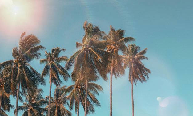 Top graphic design and printing trends for Summer